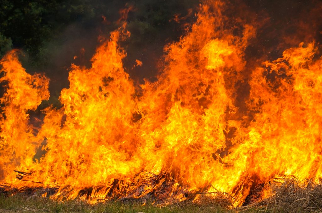 Diferenças entre queimadas, incêndios e focos de calor